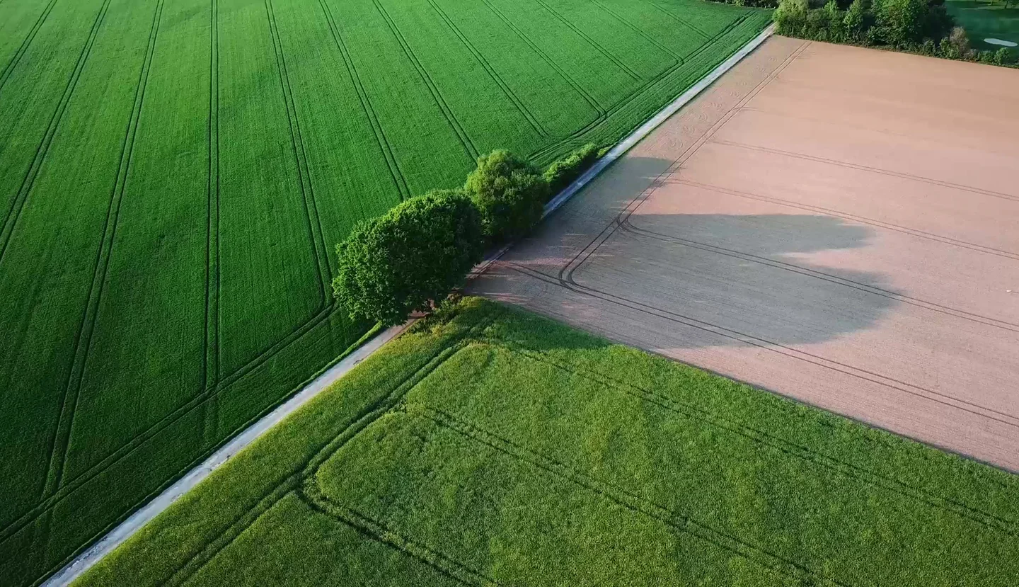 Drone Shot of Field